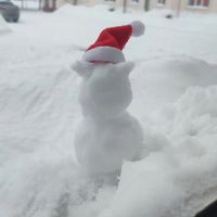 user_profile