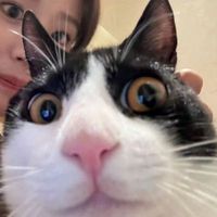 user_profile