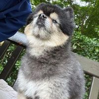 user_profile