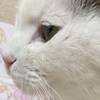 user_profile