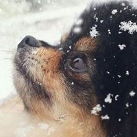 user_profile