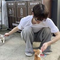 user_profile