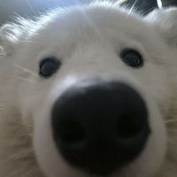 user_profile
