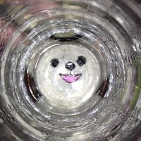 user_profile
