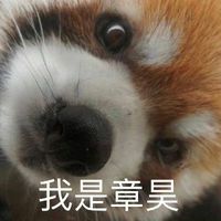 user_profile