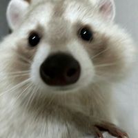 user_profile