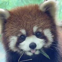 user_profile