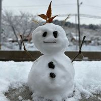 user_profile