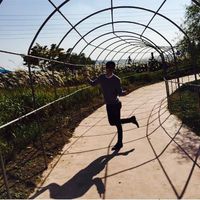 user_profile