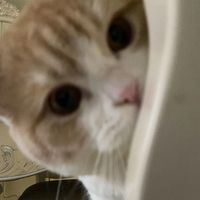 user_profile
