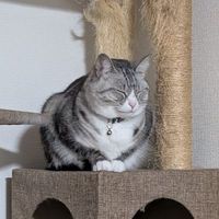 user_profile