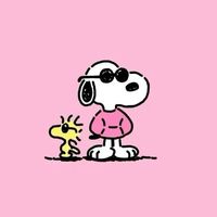 user_profile