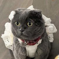 user_profile