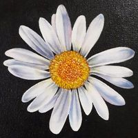 article_profile