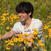 user_profile