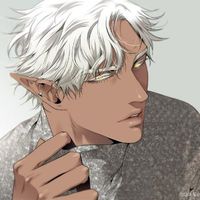 user_profile