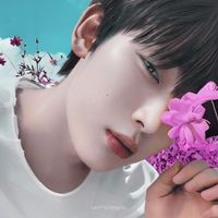 user_profile