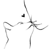 user_profile
