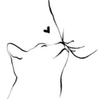 user_profile