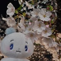 user_profile