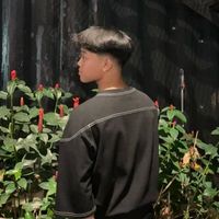 user_profile