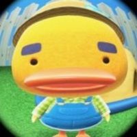 user_profile