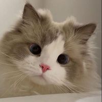 user_profile
