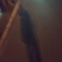 user_profile