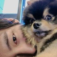 user_profile