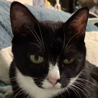 user_profile