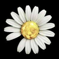 user_profile