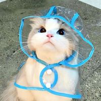 user_profile