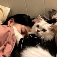 user_profile