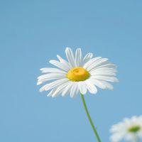 user_profile