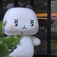 user_profile