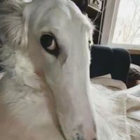 user_profile
