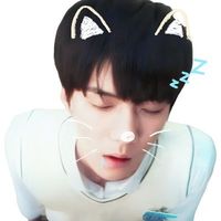 user_profile
