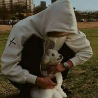 user_profile