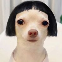 user_profile