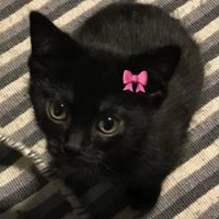 user_profile