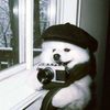 user_profile