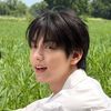 user_profile