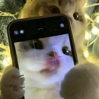 user_profile