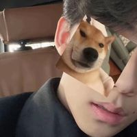 user_profile