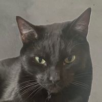 userProfile