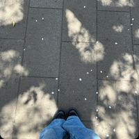 userProfile