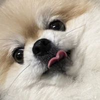 user_profile