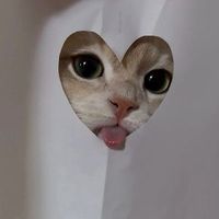 user_profile