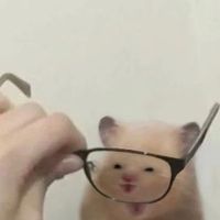 user_profile