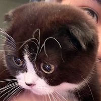 user_profile
